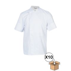 MADRAS MC X10 Blanc - T8